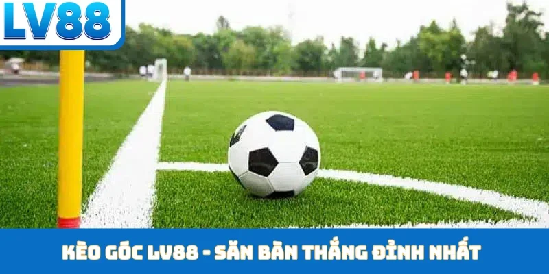 Thể Thao LV88 - Chinh Phục Giải Đấu Tầm Cỡ Thế Giới - kixon.pro