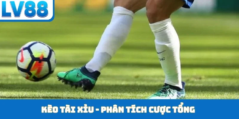 Thể Thao LV88 - Chinh Phục Giải Đấu Tầm Cỡ Thế Giới - kixon.pro